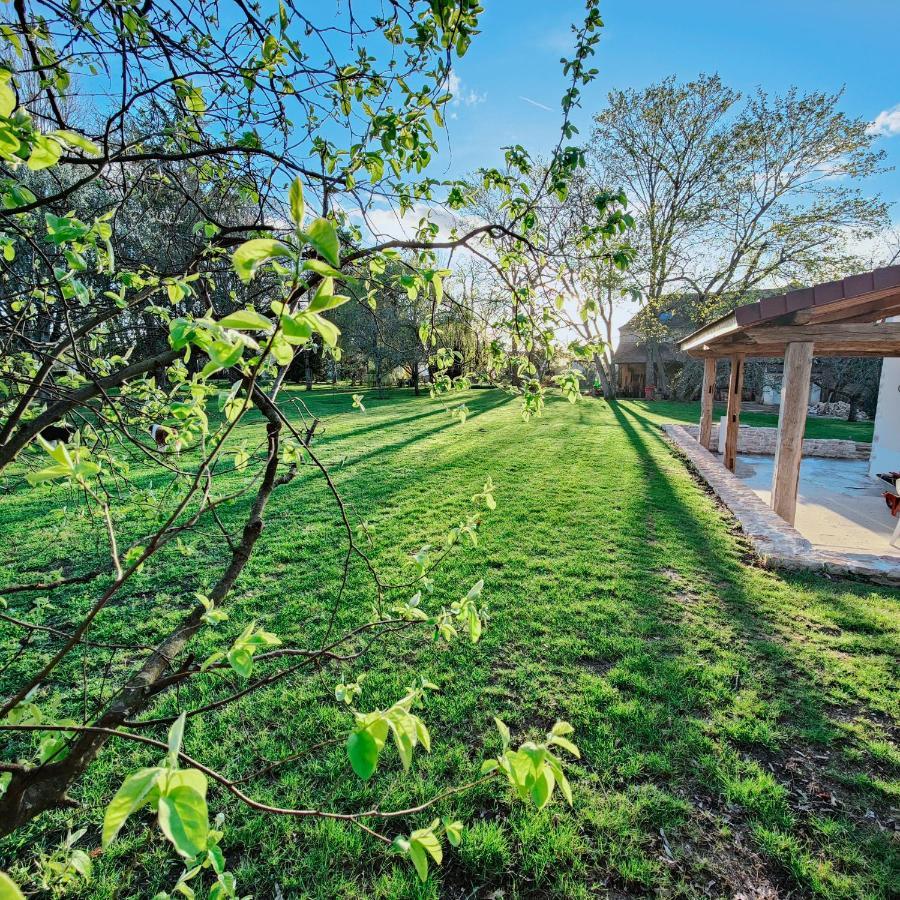 Domaine Saint Loup - 10Min Beaune Exterior foto